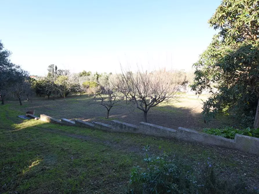 Immagine 41 di Villa in vendita  in Strada Vicinale Taniga Malafede 31 a Sassari