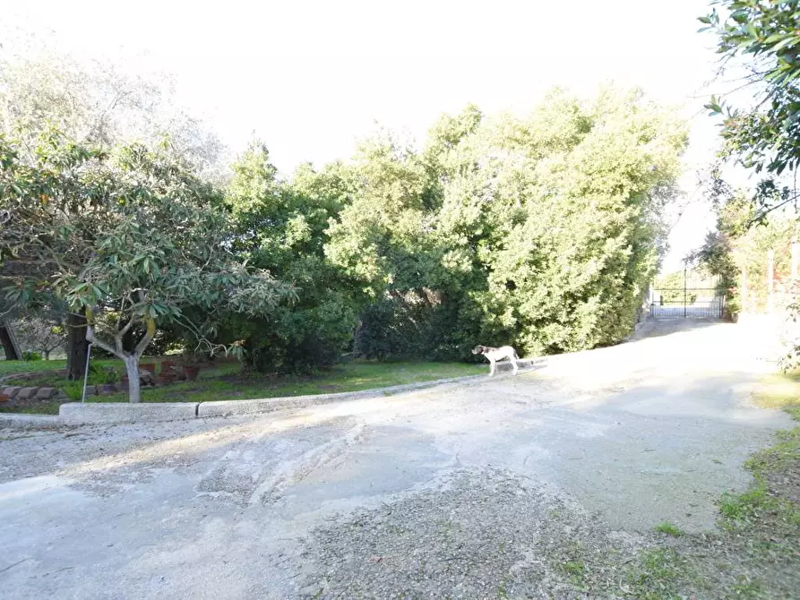 Immagine 42 di Villa in vendita  in Strada Vicinale Taniga Malafede 31 a Sassari