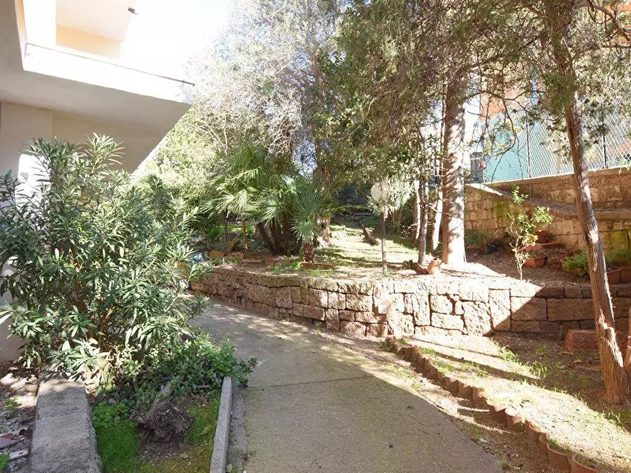 Immagine 30 di Attico in vendita  in Viale Mameli 67 a Sassari