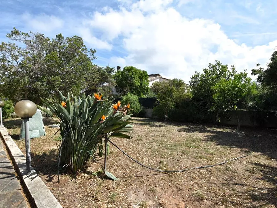 Immagine 38 di Villa in vendita  in SV Serralonga snc a Sorso