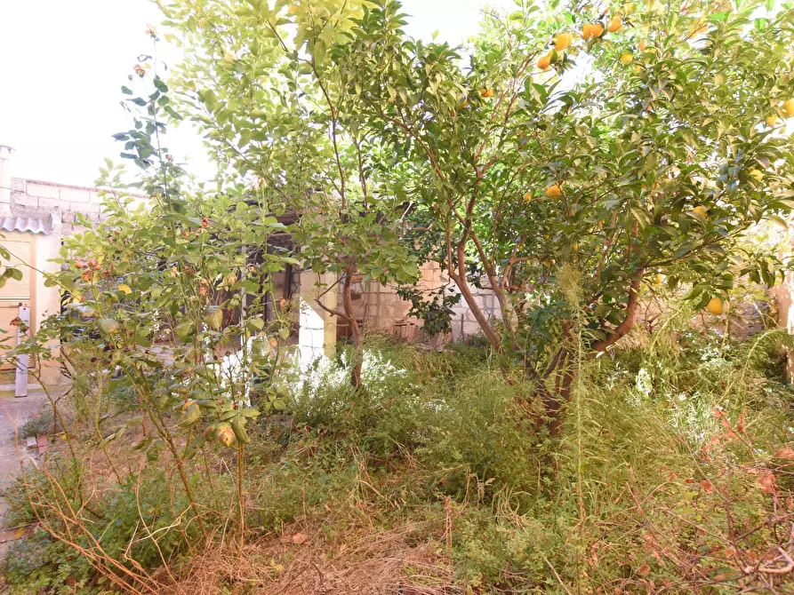 Immagine 19 di Appartamento in vendita  in via Logudoro 7 a Ploaghe