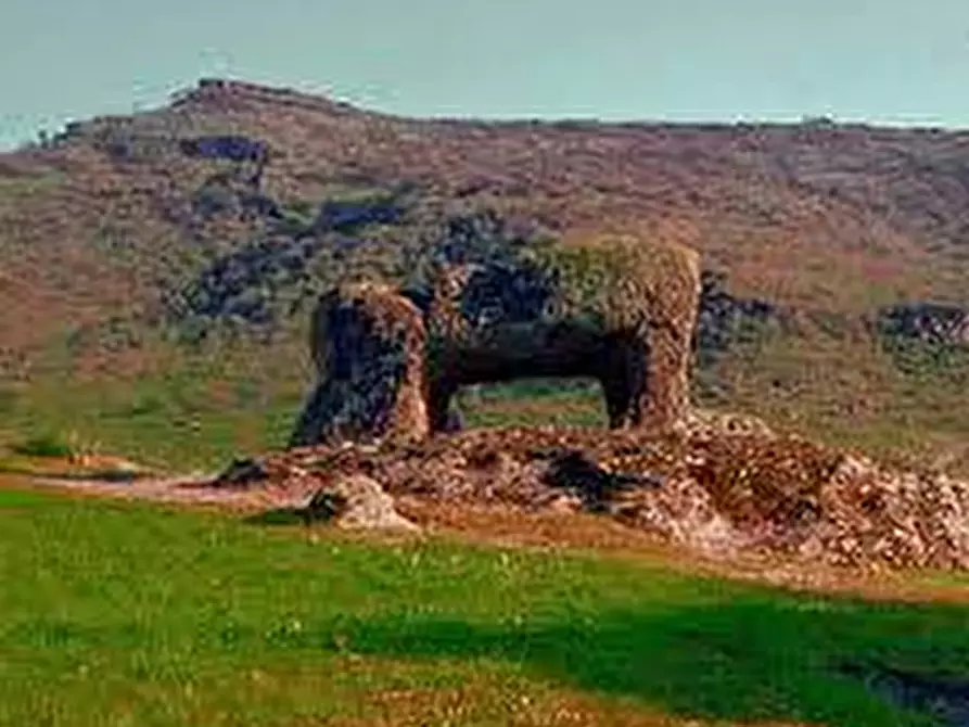 Immagine 19 di Casa indipendente in vendita  in Piazzetta Diaz 2 a Bonorva