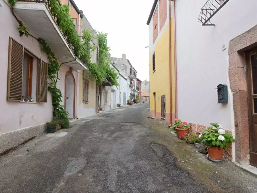Immagine 31 di Casa indipendente in vendita  in VIA ROMA 34 a Banari