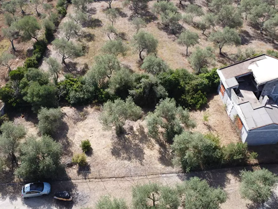 Immagine 2 di Casa indipendente in vendita  in s.v. Li Curuneddi Tronco B 37 a Sassari