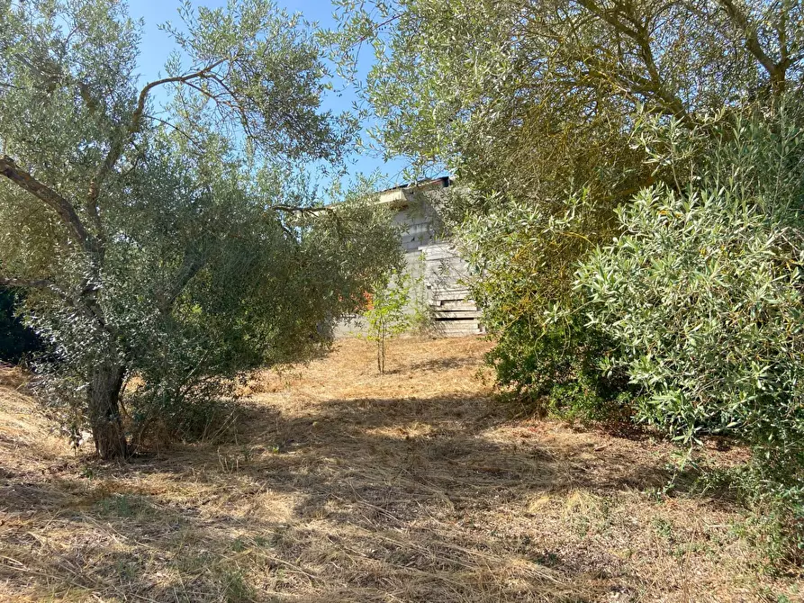 Immagine 8 di Casa indipendente in vendita  in s.v. Li Curuneddi Tronco B 37 a Sassari