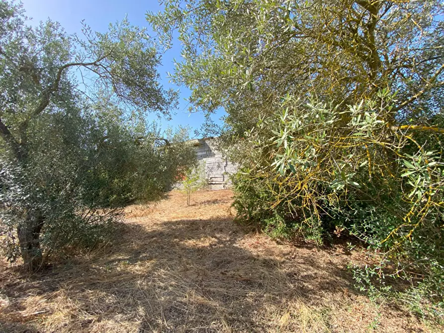 Immagine 9 di Casa indipendente in vendita  in s.v. Li Curuneddi Tronco B 37 a Sassari