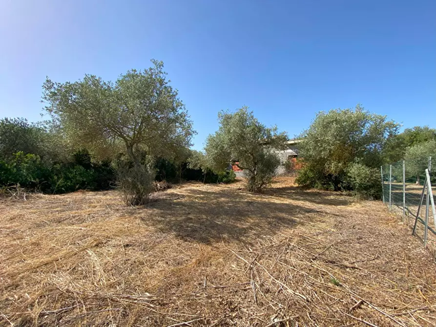 Immagine 11 di Casa indipendente in vendita  in s.v. Li Curuneddi Tronco B 37 a Sassari