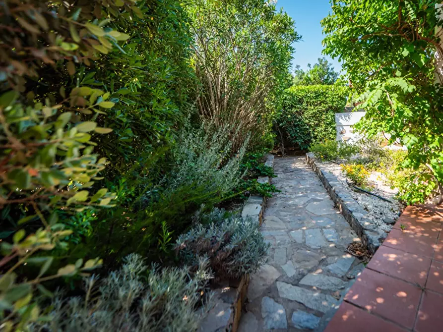 Immagine 40 di Villetta a schiera in vendita  in Cala Lupo snc a Banari