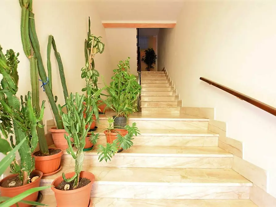 Immagine 13 di Appartamento in vendita  in Brigata Sassari 31 a Badesi