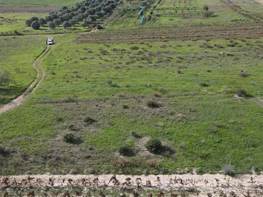 Immagine 2 di Terreno agricolo in vendita  in Via Bi'e Mesu a Selargius