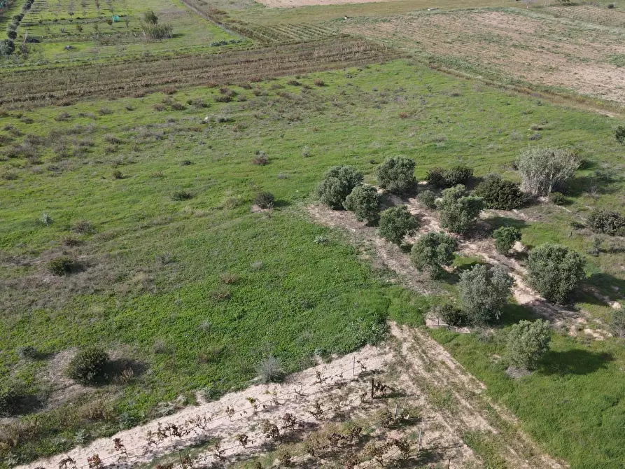 Immagine 3 di Terreno agricolo in vendita  in Via Bi'e Mesu a Selargius