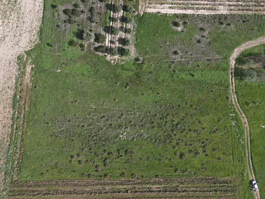 Immagine 4 di Terreno agricolo in vendita  in Via Bi'e Mesu a Selargius