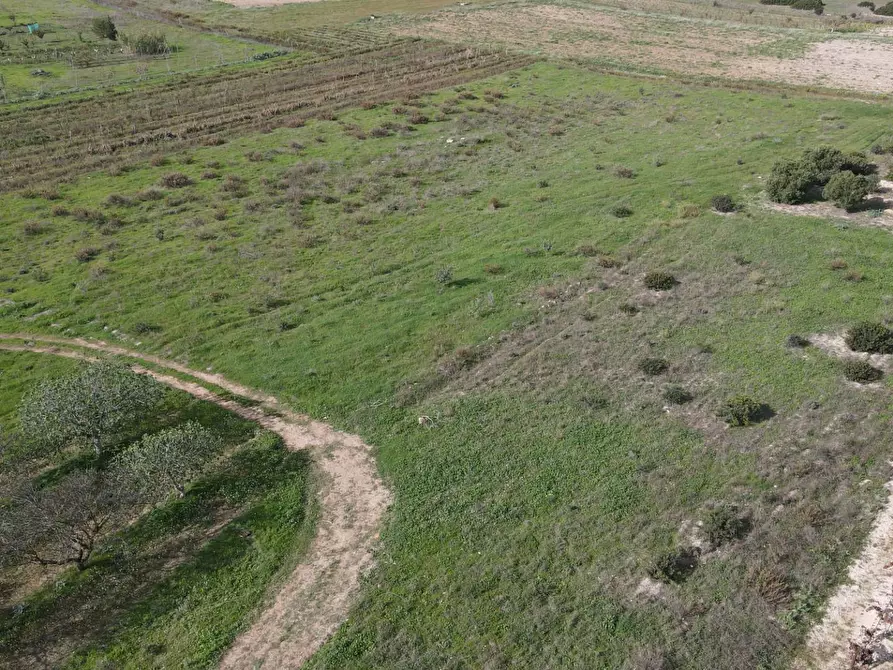 Immagine 5 di Terreno agricolo in vendita  in Via Bi'e Mesu a Selargius