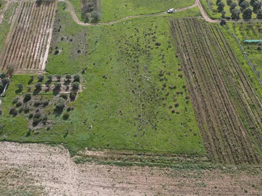 Immagine 10 di Terreno agricolo in vendita  in Via Bi'e Mesu a Selargius