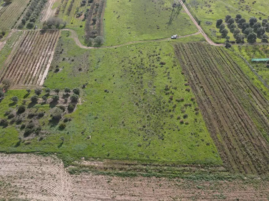 Immagine 11 di Terreno agricolo in vendita  in Via Bi'e Mesu a Selargius