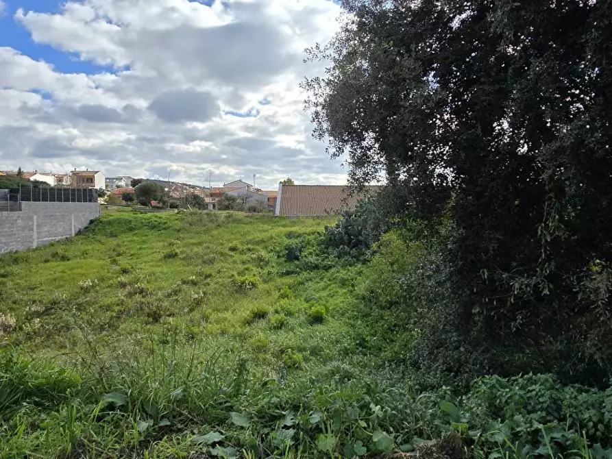Immagine 17 di Terreno residenziale in vendita  in CIMABUE a Ittiri