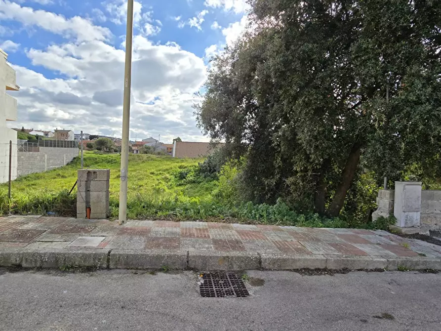 Immagine 23 di Terreno residenziale in vendita  in CIMABUE a Ittiri