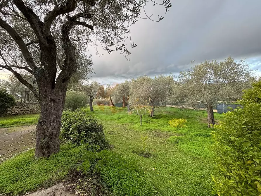 Immagine 22 di Casa indipendente in vendita  in BADDE NIGOLA a Sennori