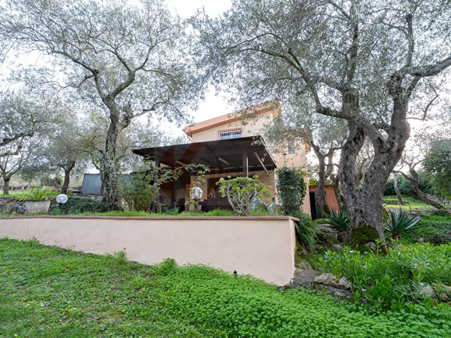 Immagine 2 di Casa indipendente in vendita  in BADDE NIGOLA a Sennori