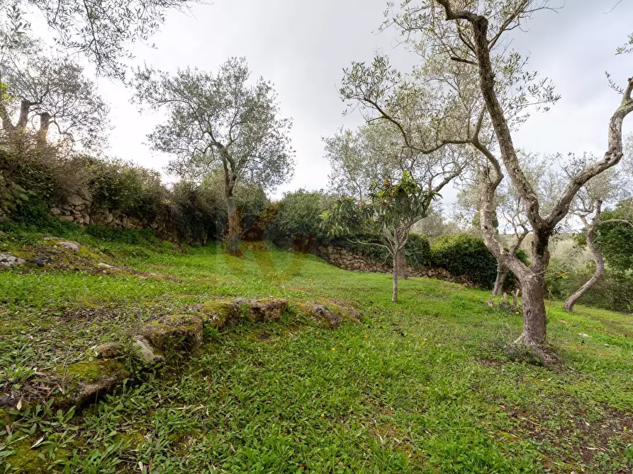 Immagine 23 di Casa indipendente in vendita  in BADDE NIGOLA a Sennori