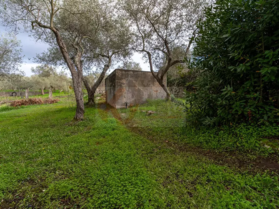 Immagine 24 di Casa indipendente in vendita  in BADDE NIGOLA a Sennori