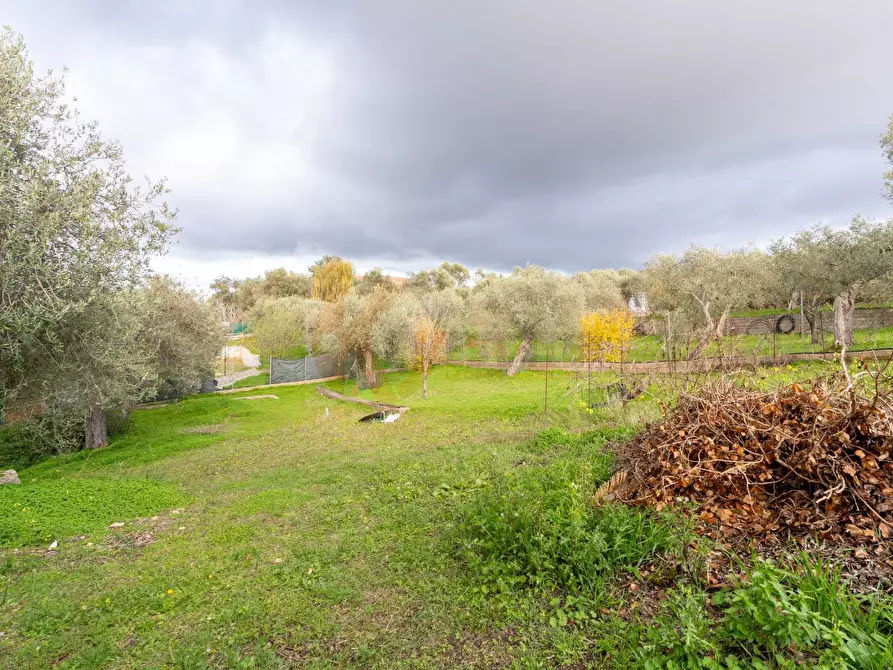 Immagine 25 di Casa indipendente in vendita  in BADDE NIGOLA a Sennori
