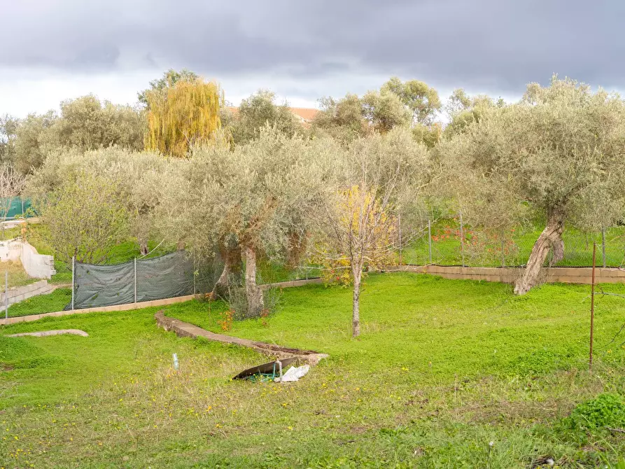 Immagine 27 di Casa indipendente in vendita  in BADDE NIGOLA a Sennori