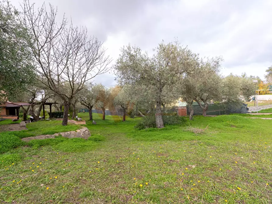 Immagine 26 di Casa indipendente in vendita  in BADDE NIGOLA a Sennori