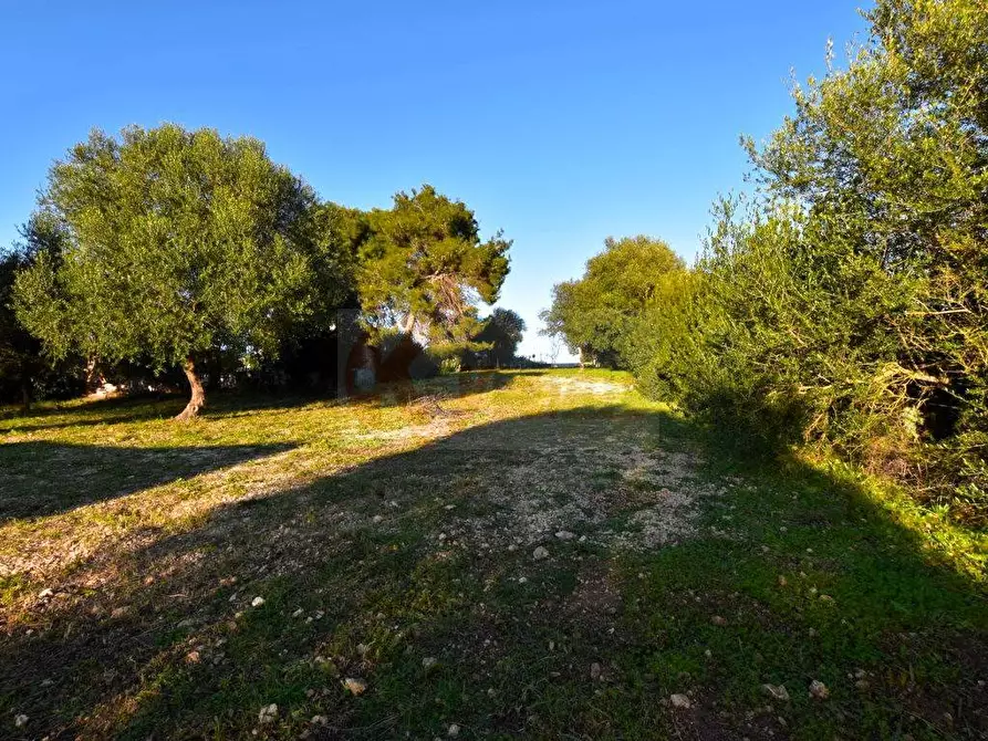 terreno agricolo in vendita a Sassari in zona Ottava
