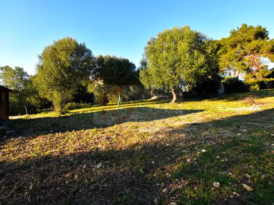 Immagine 2 di Terreno agricolo in vendita  in Via Diana snc a Sassari