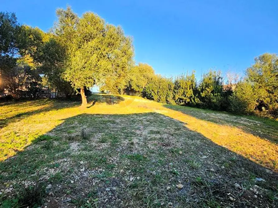 Immagine 3 di Terreno agricolo in vendita  in Via Diana snc a Sassari
