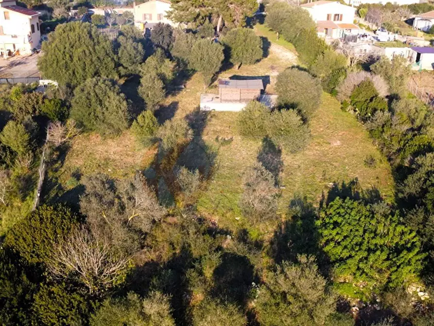 Immagine 5 di Terreno agricolo in vendita  in Via Diana snc a Sassari
