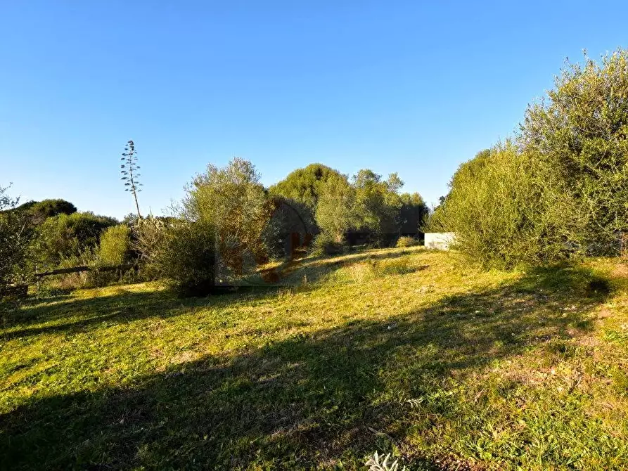 Immagine 6 di Terreno agricolo in vendita  in Via Diana snc a Sassari