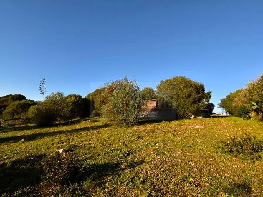 Immagine 7 di Terreno agricolo in vendita  in Via Diana snc a Sassari
