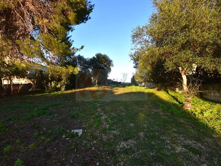 Immagine 9 di Terreno agricolo in vendita  in Via Diana snc a Sassari