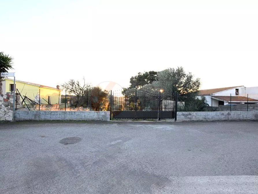 Immagine 10 di Terreno agricolo in vendita  in Via Diana snc a Sassari
