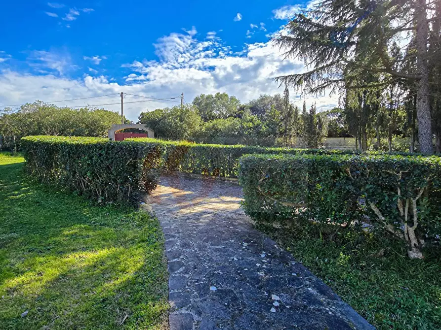 Immagine 53 di Villa in vendita  in REGIONE MACCIA D` AGLIASTRU 166 a Sassari