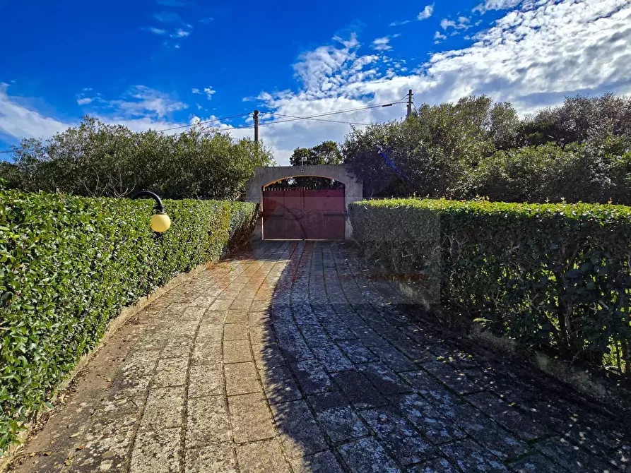 Immagine 57 di Villa in vendita  in REGIONE MACCIA D` AGLIASTRU 166 a Sassari