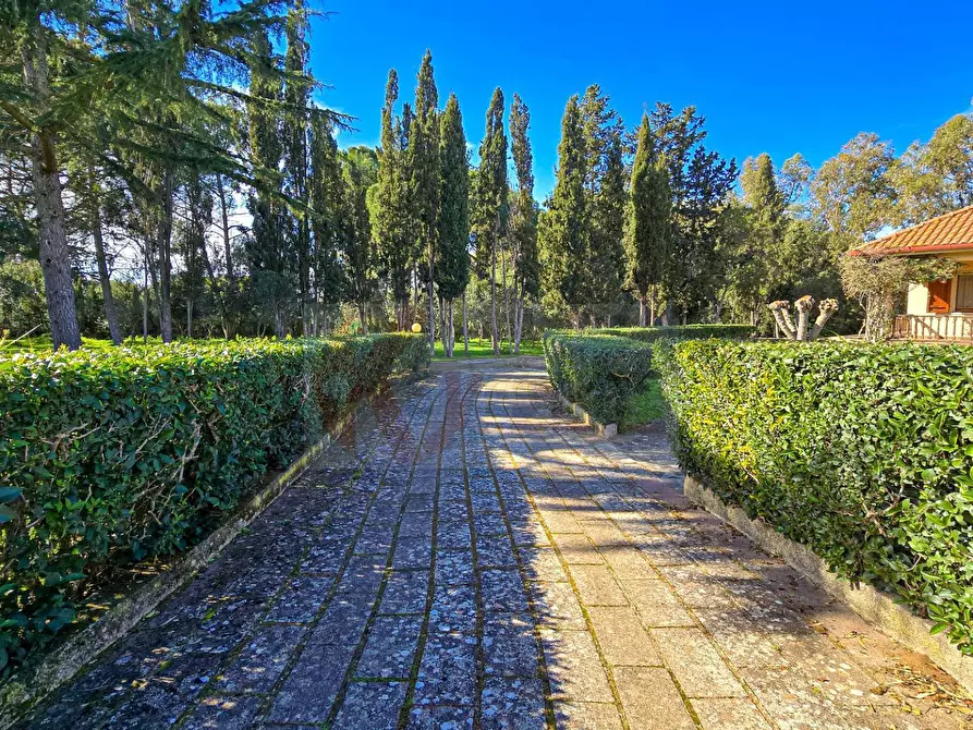 Immagine 61 di Villa in vendita  in REGIONE MACCIA D` AGLIASTRU 166 a Sassari