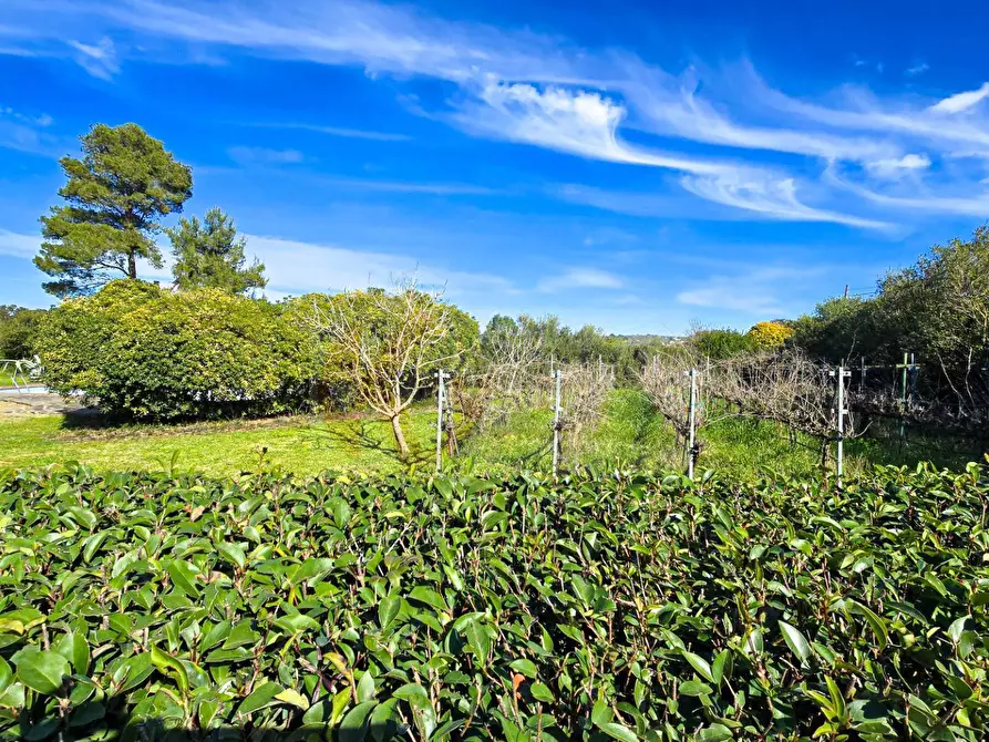 Immagine 63 di Villa in vendita  in REGIONE MACCIA D` AGLIASTRU 166 a Sassari