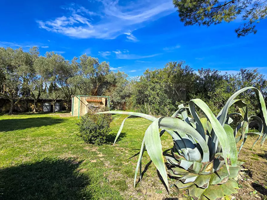 Immagine 67 di Villa in vendita  in REGIONE MACCIA D` AGLIASTRU 166 a Sassari