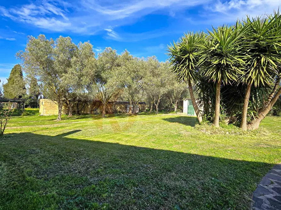 Immagine 68 di Villa in vendita  in REGIONE MACCIA D` AGLIASTRU 166 a Sassari