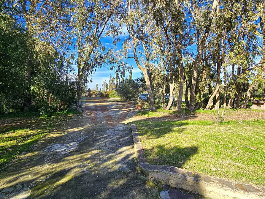 Immagine 70 di Villa in vendita  in REGIONE MACCIA D` AGLIASTRU 166 a Sassari