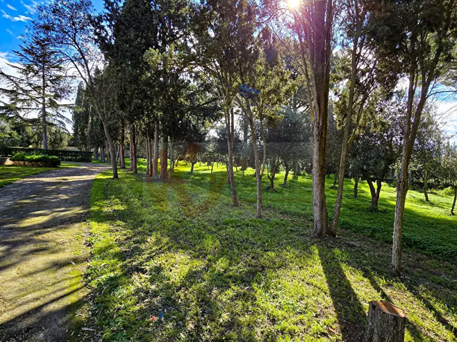 Immagine 72 di Villa in vendita  in REGIONE MACCIA D` AGLIASTRU 166 a Sassari