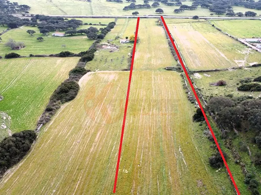 Immagine 3 di Terreno agricolo in vendita  in Località Lu Saltu SP 96 a Banari
