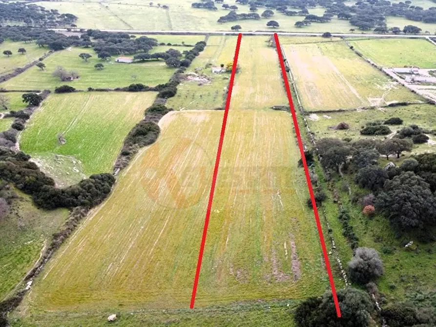 Immagine 4 di Terreno agricolo in vendita  in Località Lu Saltu SP 96 a Banari