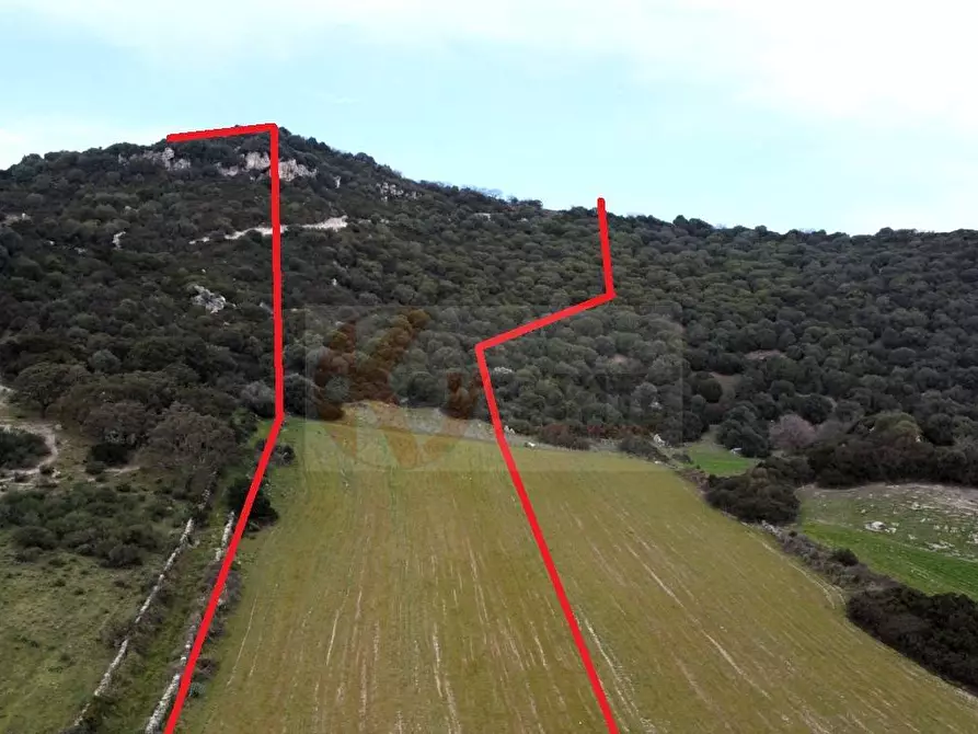 Immagine 5 di Terreno agricolo in vendita  in Località Lu Saltu SP 96 a Banari