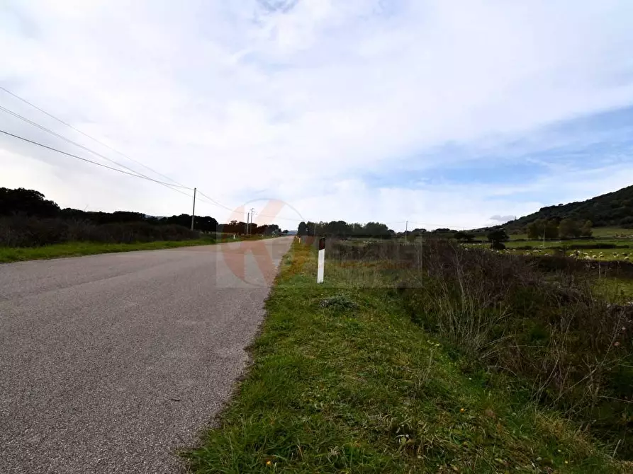 Immagine 6 di Terreno agricolo in vendita  in Località Lu Saltu SP 96 a Banari