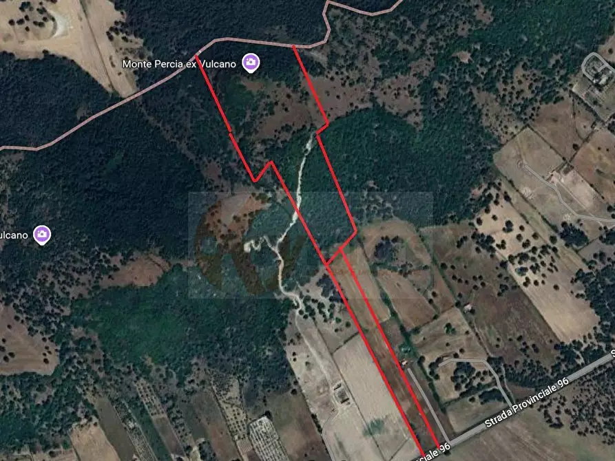 Immagine 7 di Terreno agricolo in vendita  in Località Lu Saltu SP 96 a Banari