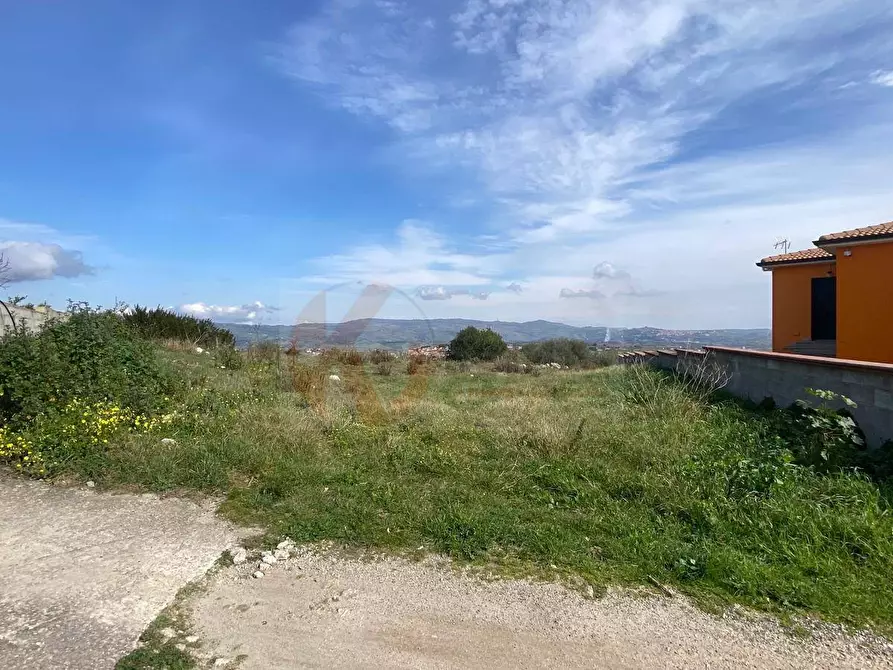 Immagine 14 di Terreno residenziale in vendita  in via Don Michele Piras a Florinas
